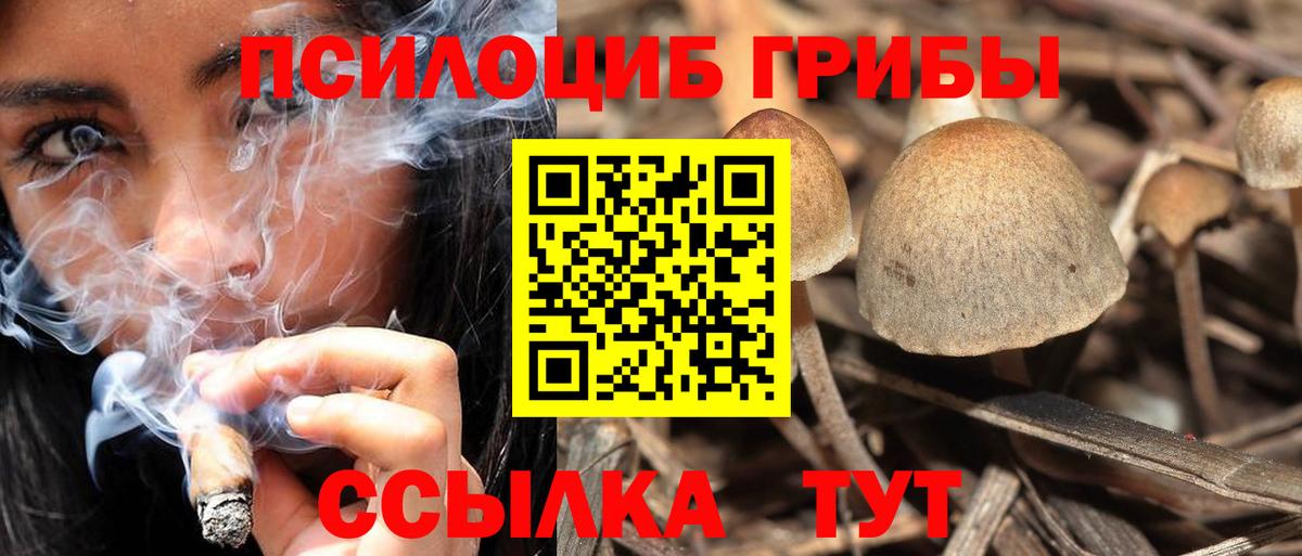 Псилоцибиновые грибы мицелий Южно-Сахалинск
